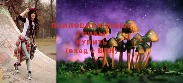 круглые Абаза