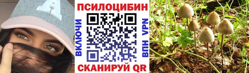 Псилоцибиновые грибы Cubensis Александровск-Сахалинский